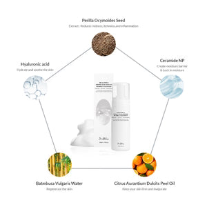 Dr Althea Amino Acid Gentle Bubble Cleanser